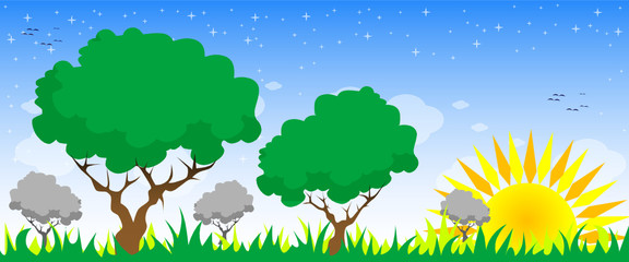 Blue sky, sun and trees