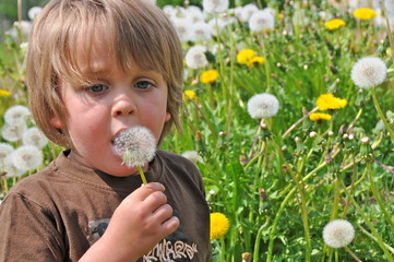 People - Kid - Löwenzahn