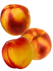 Fruit a peach and apricot hybrid