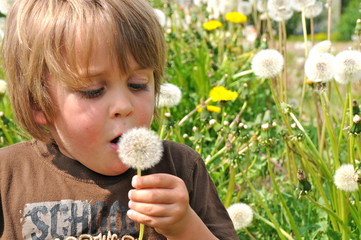 People - Kid - Löwenzahn