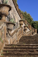 Scala del parco di Frascati