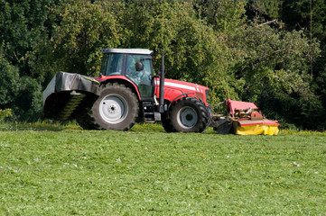 Naklejka premium Heuernte