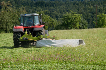 Bei der Heuernte