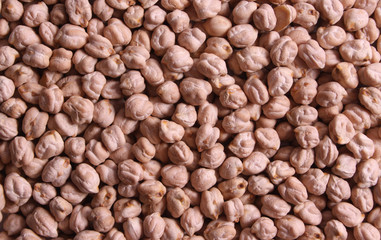 Chick-pea