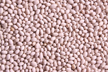 White kidney beans