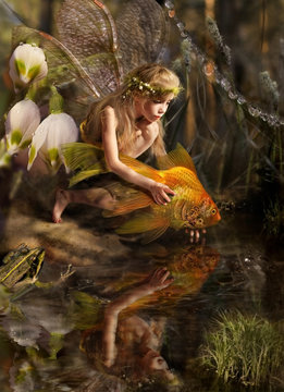 The girl releases a gold fish