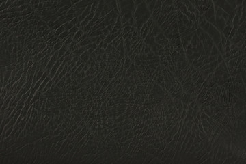 Black Leather