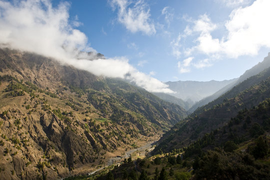 La Palma  Barranco de las Angustias