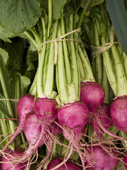 produce - organic beets background