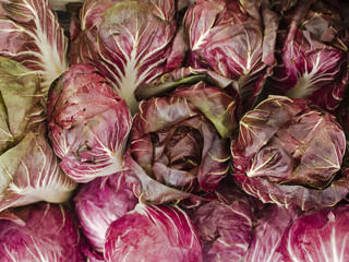 produce - organic raddichio