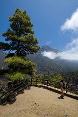 La Palma  Caldera de taburiente