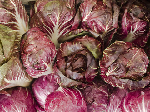 produce - organic raddichio