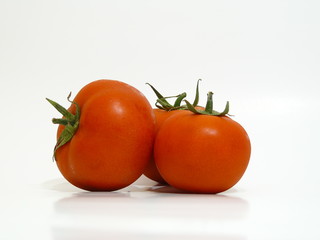 tomatoes