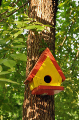 Bird Tree House