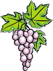 Grapes (Vector)