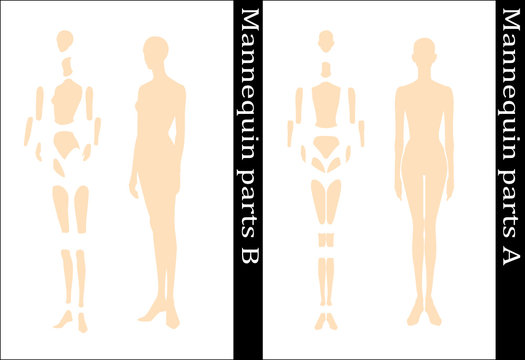 Mannequin parts