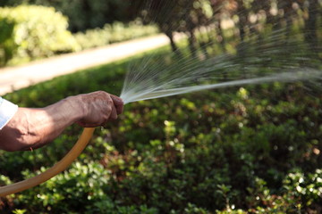 Watering garden with hand hose