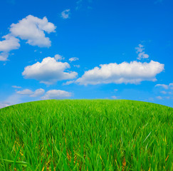 Obraz premium Green field and white clouds