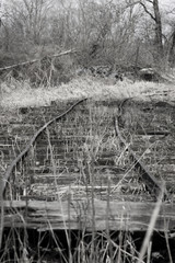 Fototapeta premium schienen im moor