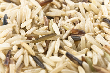 Rice Mixture - Basmati, Wild and Red