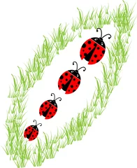 Poster Lieveheersbeestje familie op het gras. vector illustratie © LeoSad