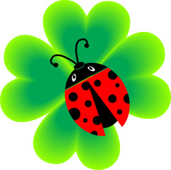 Fototapeta premium Ladybug on the flower. Vector illustration