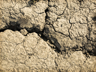 Global warming - parched earth