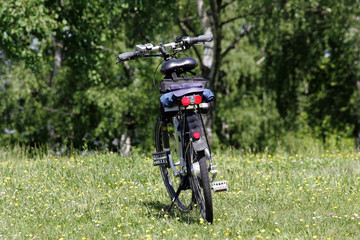 Naklejka premium fahrrad im grünen