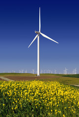 Power Generating Windmills