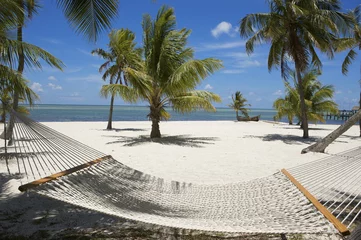 Selbstklebende Fototapeten hammock © Sunny Images