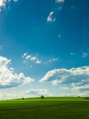Landschaft