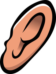 human ear