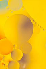 yellow abstract circles