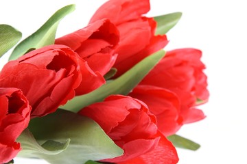 Red  plastic tulips isolated on white background