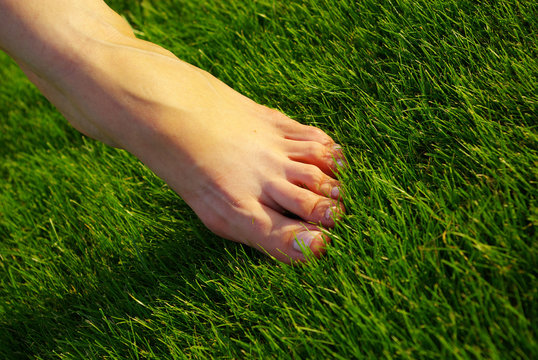 foot