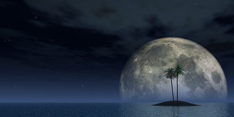 palmiers au clair de lune