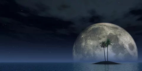 Cercles muraux Pleine Lune arbre palmiers au clair de lune