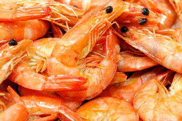 Shrimps