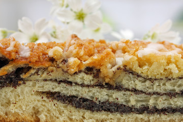 gefüllter Mohnkuchen