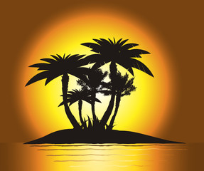Sunset on the island with palm's silhouette