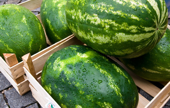 Wassermelonen auf dem Markt
