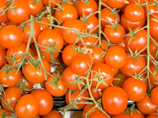 Red tomatoes-cherry