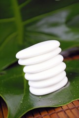 galets blancs zens sur feuille de philodendron