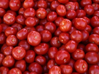 Tomatoes