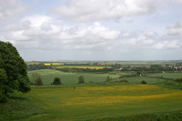 Fototapeta na wymiar view of English countryside