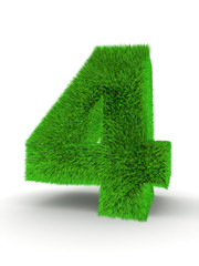 Number four from grass