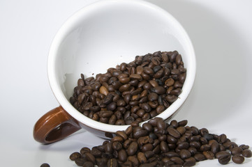 Cappuccinotasse mit Bohnen hell