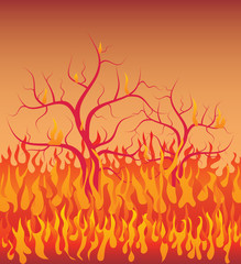 tree in fire