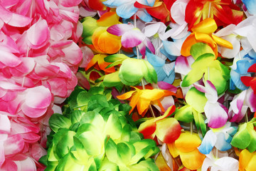 frou frou