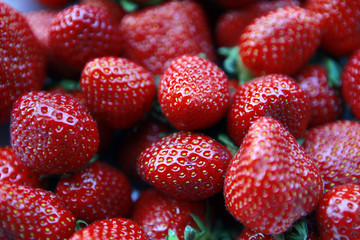 fraises